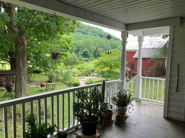 Back Porch