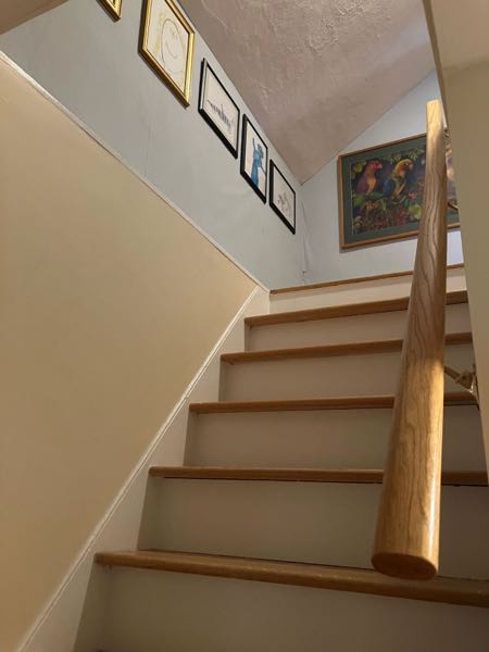 Downstairs Back Hall