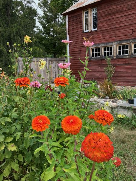 Green Room Garden
