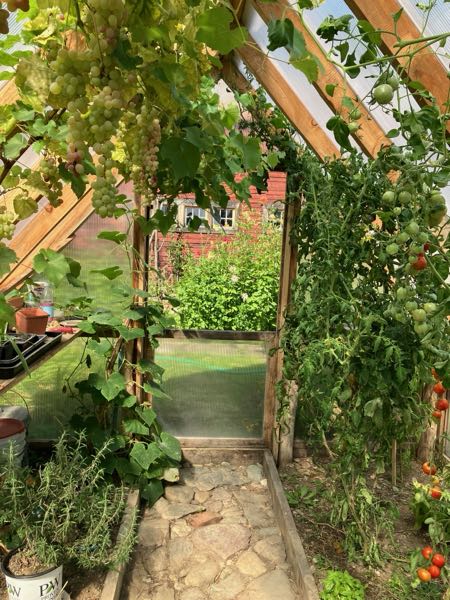 Orchard & Greenhouse
