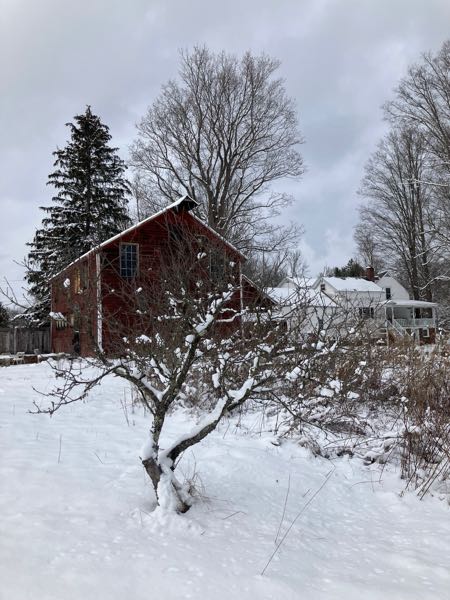 Orchard & Greenhouse — Winter