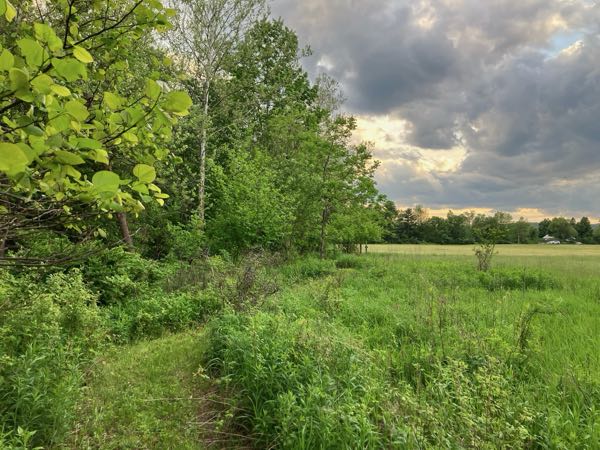 Hayfield & Walking Paths