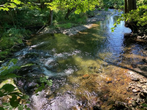Swimming Hole