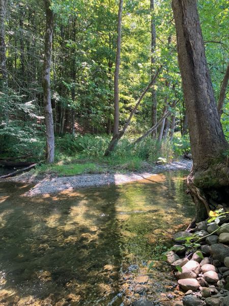 Swimming Hole