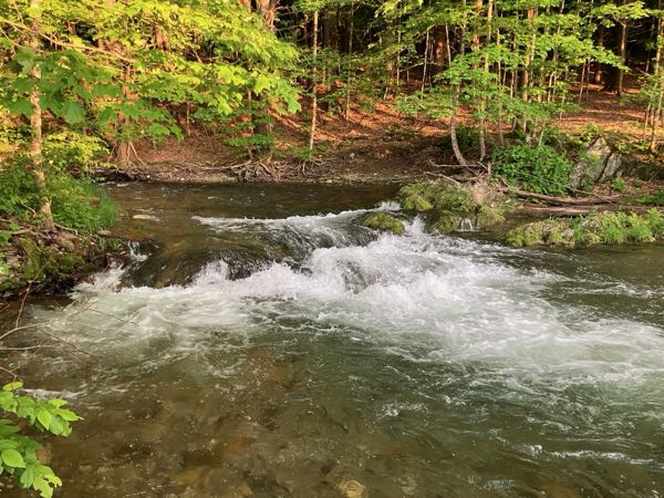 Swimming Hole