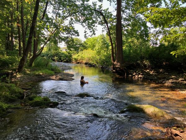 Swimming Hole