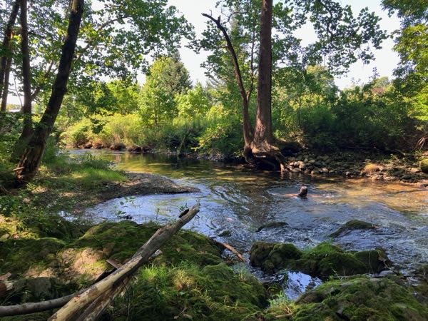 Swimming Hole