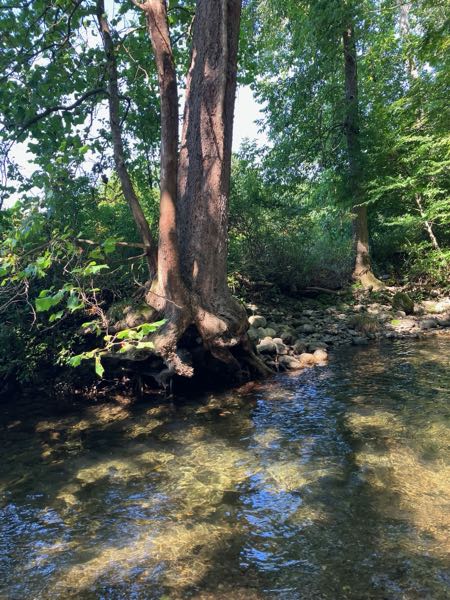 Swimming Hole