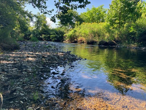 Swimming Hole