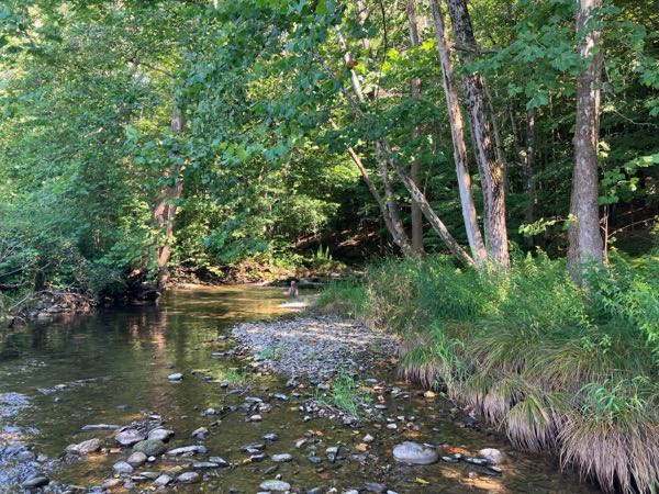 Swimming Hole