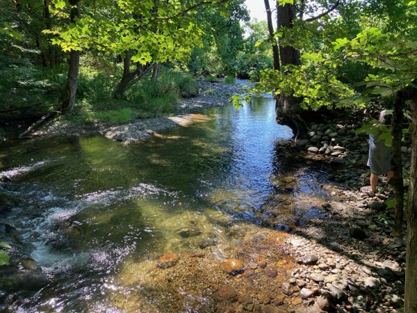 Swimming Hole