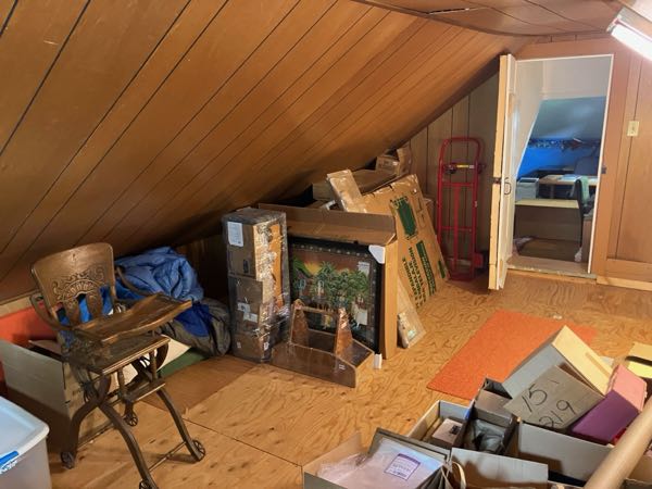 Walk-in Attic
